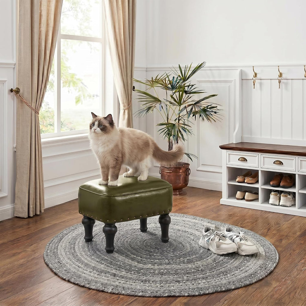 Green Leather Beechwood Storage Ottoman Footrest